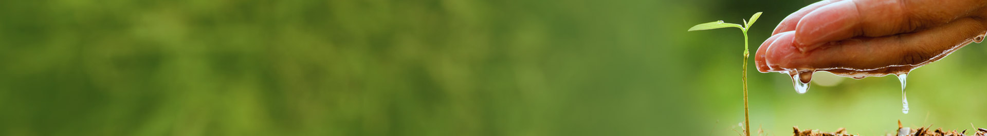 we-serve banner