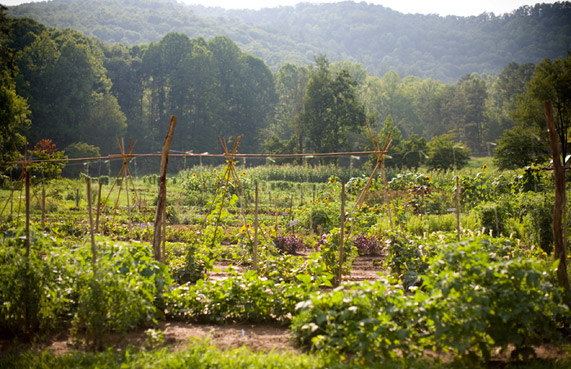 farm