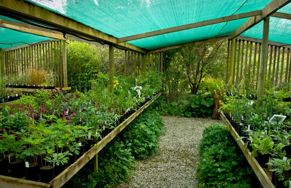 nursery